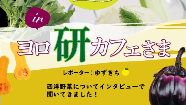 ヨロ研野菜図鑑 ビーツ バイヤーセレクション